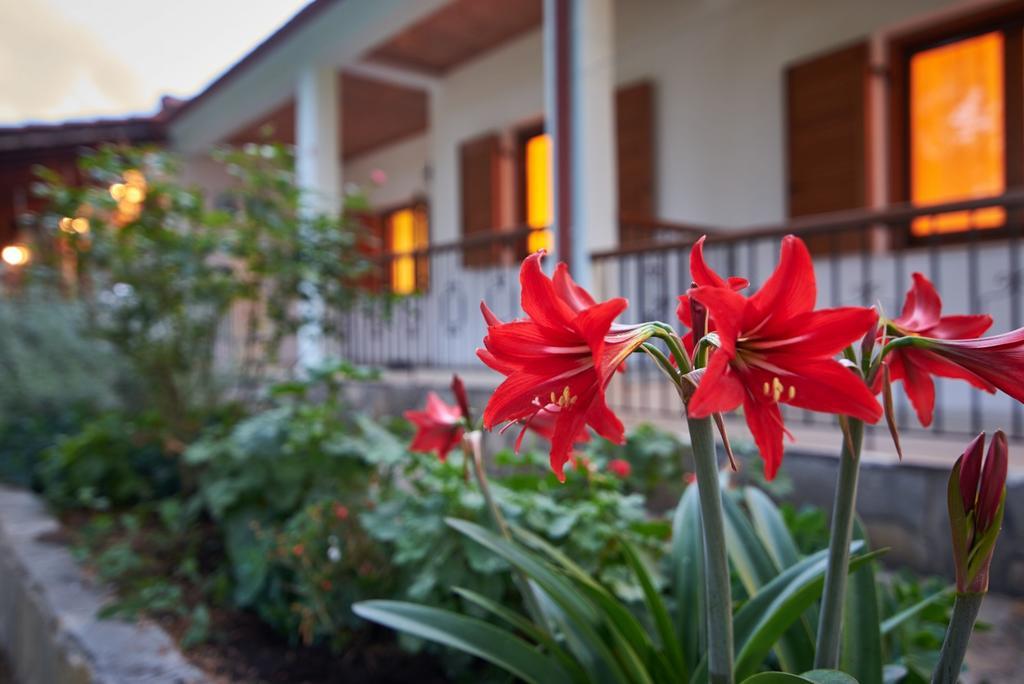 House Rena Apartment Vourvourou Exterior photo